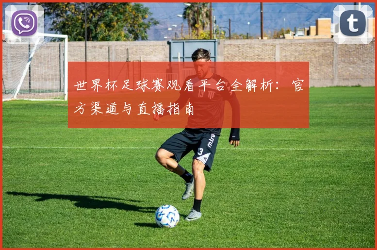 世界杯足球赛观看平台全解析：官方渠道与直播指南